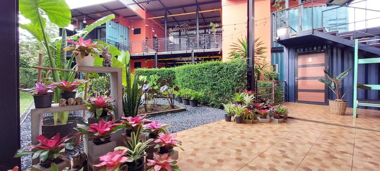 Kipbox Hotel טראנג מראה חיצוני תמונה