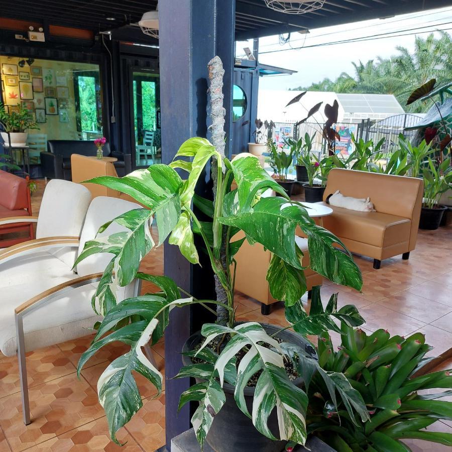 Kipbox Hotel טראנג מראה חיצוני תמונה